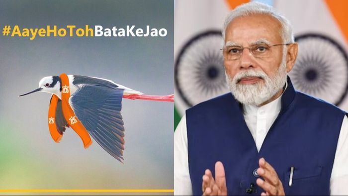 'আয়ে হো তো বতা কে যাও,' মোদীকে 'পরিযায়ী পাখি' বলে কটাক্ষ TMC-র