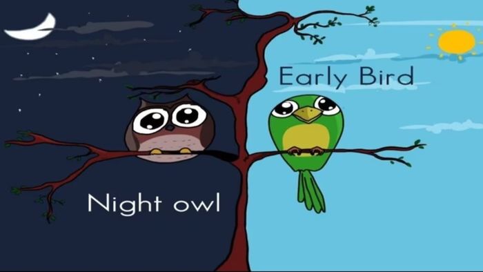 জানুন আপনার পার্সোনালিটি