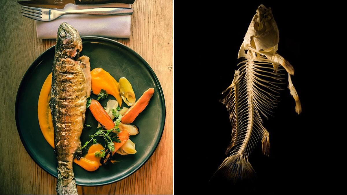 গলায় মাছের কাঁটা আটকে গেছে?  মুহূর্তে বের করার সহজ টোটকা 