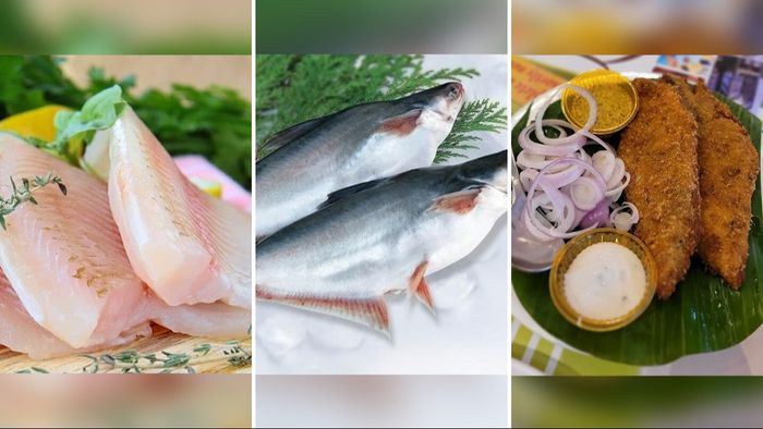 বাসা মাছ (ছবি: ফেসবুক)