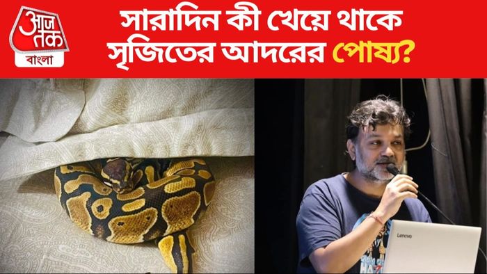 সৃজিত মুখোপাধ্যায়
