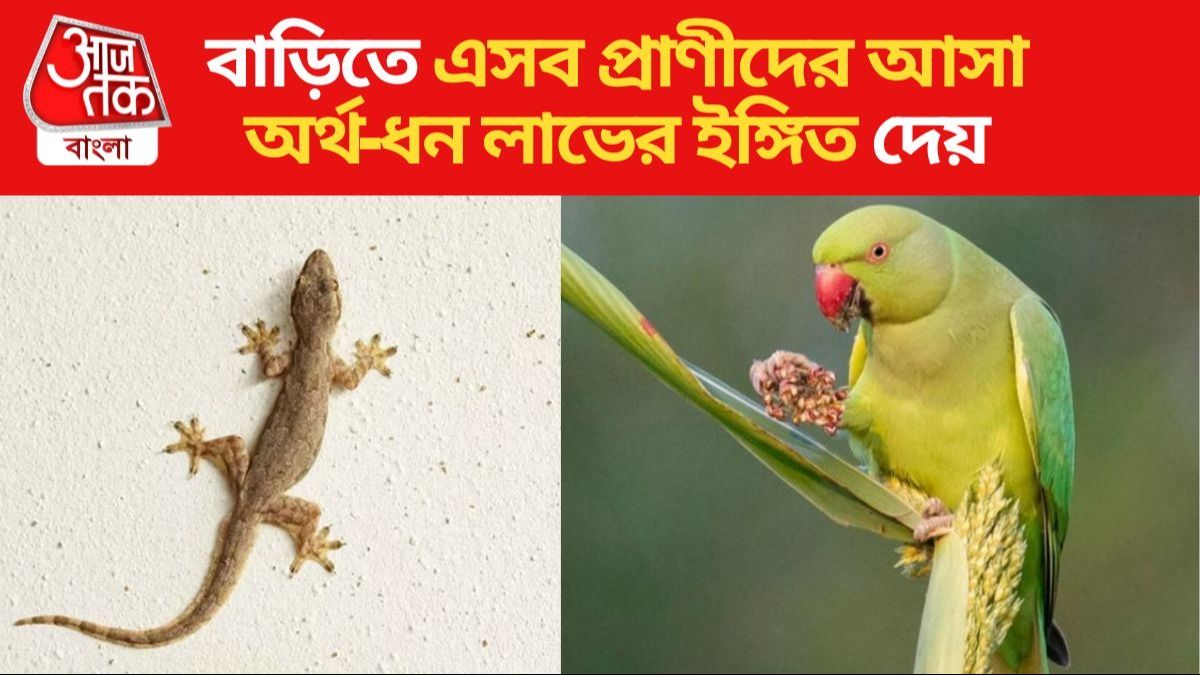 বাড়িতে এসব প্রাণীদের আসা অত্যন্ত শুভ, বুঝবেন সুখ ও সমৃদ্ধি আসছে