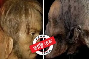 Facebook Users Facebook Users