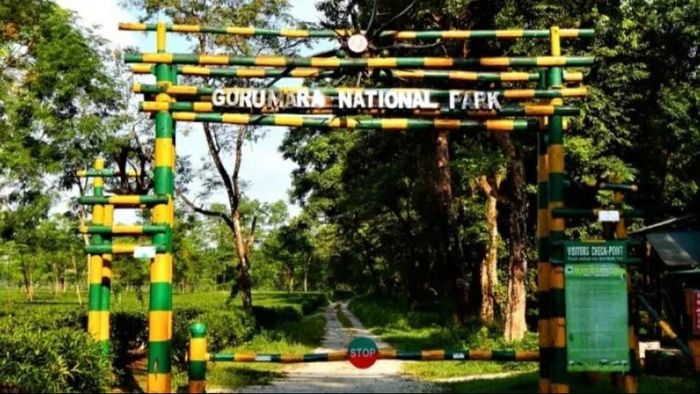 মাত্র ২৫০ টাকায় থাকতে পারবেন, এই জায়গা থেকে অর্ধেক ডুয়ার্স হাতের কাছে