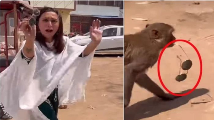 মিমির সানগ্লাস নিয়ে গেল বাঁদরে। ছবি-অভিনেত্রীর ইন্সটাগ্রাম সৌজন্য