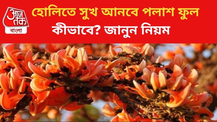পলাশ ফুলের ব্যবহারে কপাল খুলবে।