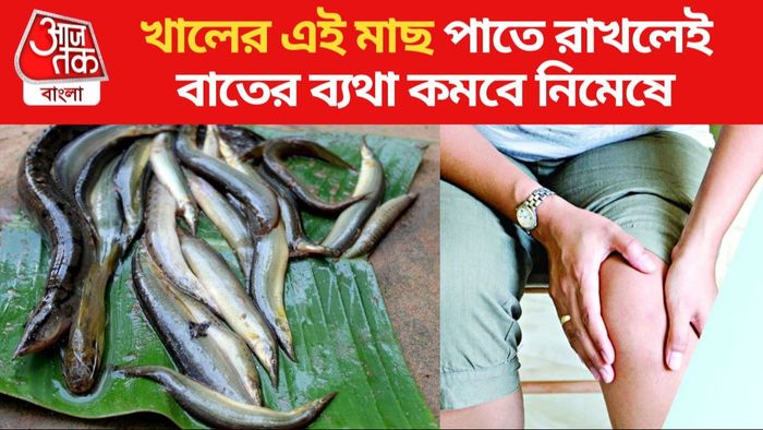 পাঁকাল মাছের উপকারিতা