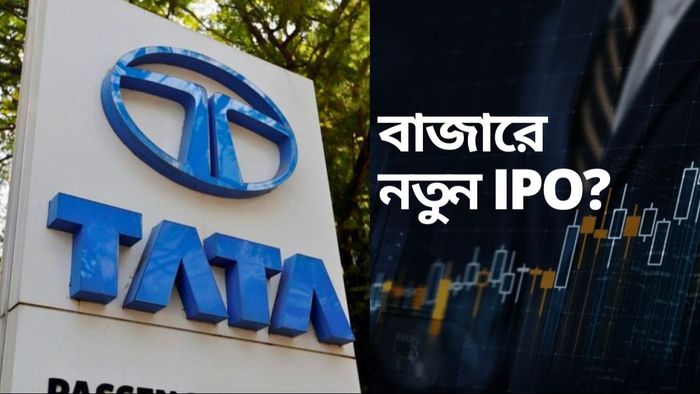 বাজারে আসতে পারে টাটার একাধিক IPO!