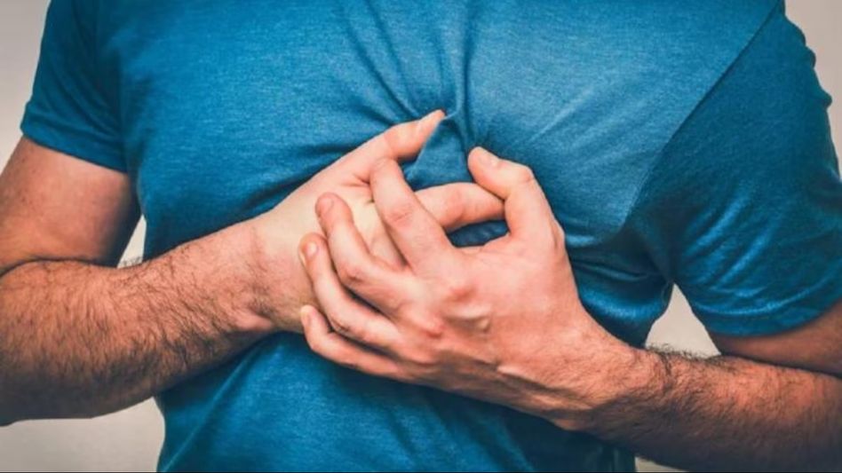 ক্যান্সার, হৃদরোগ বশে রাখে, সারা বছর বাজারে গড়াগড়ি খাওয়া সস্তার এই সবজি ক্যান্সার, হৃদরোগ বশে রাখে, সারা বছর বাজারে গড়াগড়ি খাওয়া সস্তার এই সবজি