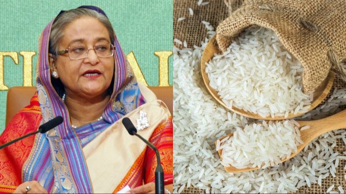 চাহিদার চেয়ে ৫০ লাখ টন বেশি উৎপাদন, তাও বাংলাদেশে কেন বাড়ছে চালের দাম?