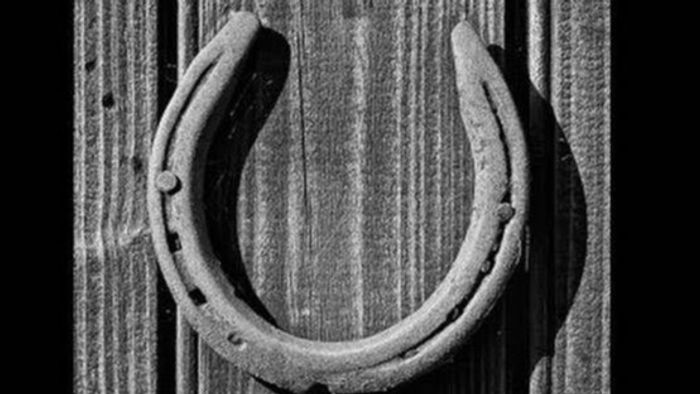 বাড়ির উপর কুনজর কাটায় ঘোড়ার নাল, আনে অর্থও; কবে আনবেন ঘরে?