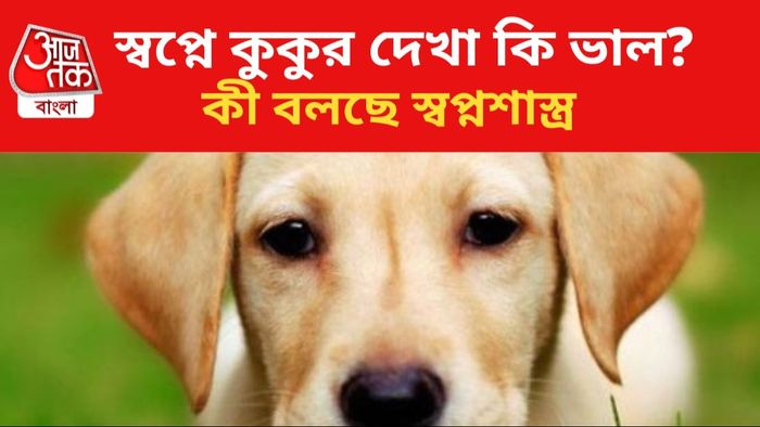 স্বপ্নে কুকুর দেখলে কী হয় জানুন।