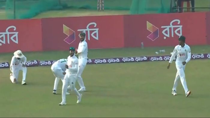 চার বাঁচাতে প্যাচ ফিল্ডার