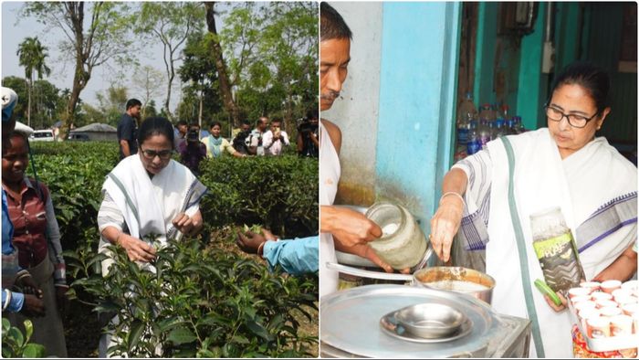 চা বানাচ্ছেন মুখ্যমন্ত্রী মমতা বন্দ্যোপাধ্যায়। ফাইল ছবি