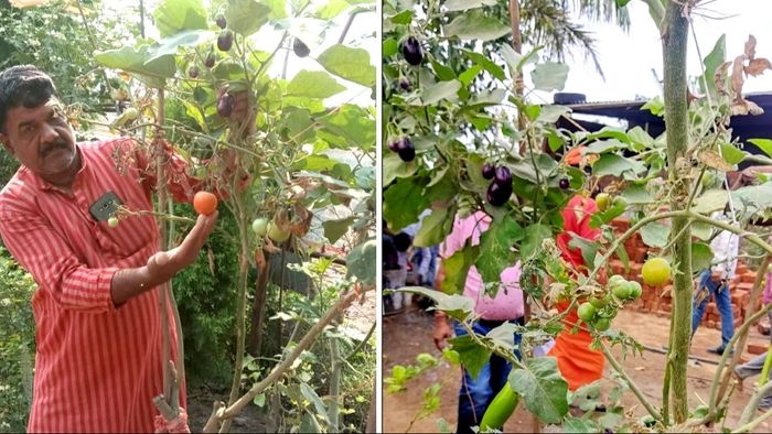 Farmer Success Story