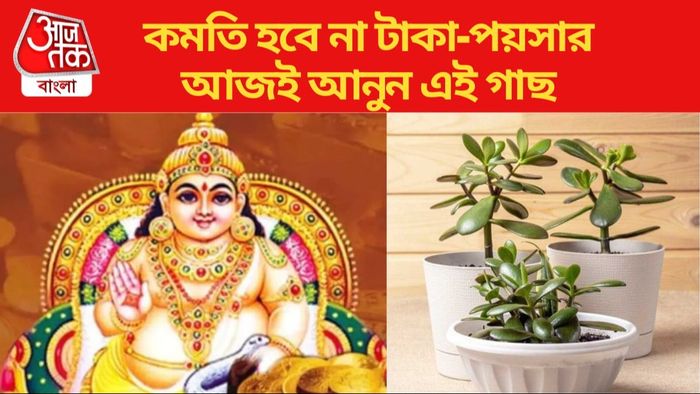 কুবেরের প্রিয় গাছ