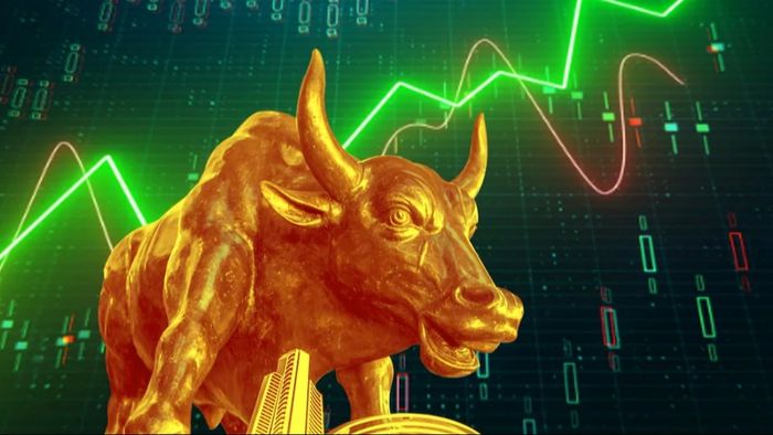 শেয়ারবাজারে রেকর্ড, Sensex প্রথমবার ৭৫০০০ পার, কোন শেয়ারগুলিতে মালামাল?