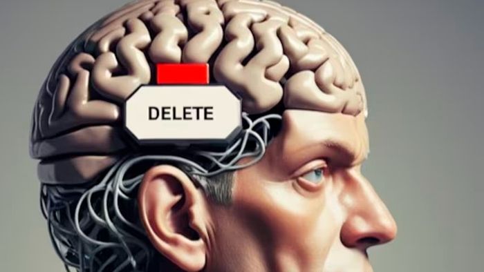 মানুষের মস্তিষ্ক