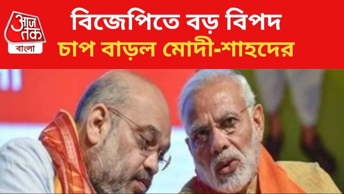 অমিত শাহ এবং নরেন্দ্র মোদী (বাঁ দিক থেকে)।