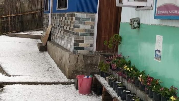 শিলাবৃষ্টিতে বিপর্যস্ত উত্তরবঙ্গের বিস্তীর্ণ এলাকা