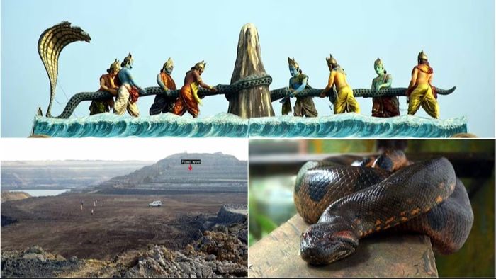 বাসুকি নাগের জীবাশ্ম উদ্ধার। ফাইল ছবি