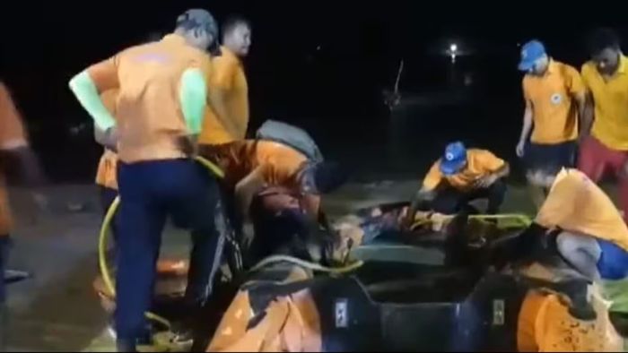 মহানদীতে নৌকাডুবি। ফাইল ছবি