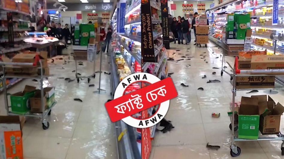 ফ্যাক্ট চেক: বন্যার জেরে সুপার মার্কেটে মাছ ভেসে বেড়ানোর এই ভিডিওটি দুবাইয়ের নয় ফ্যাক্ট চেক: বন্যার জেরে সুপার মার্কেটে মাছ ভেসে বেড়ানোর এই ভিডিওটি দুবাইয়ের নয়