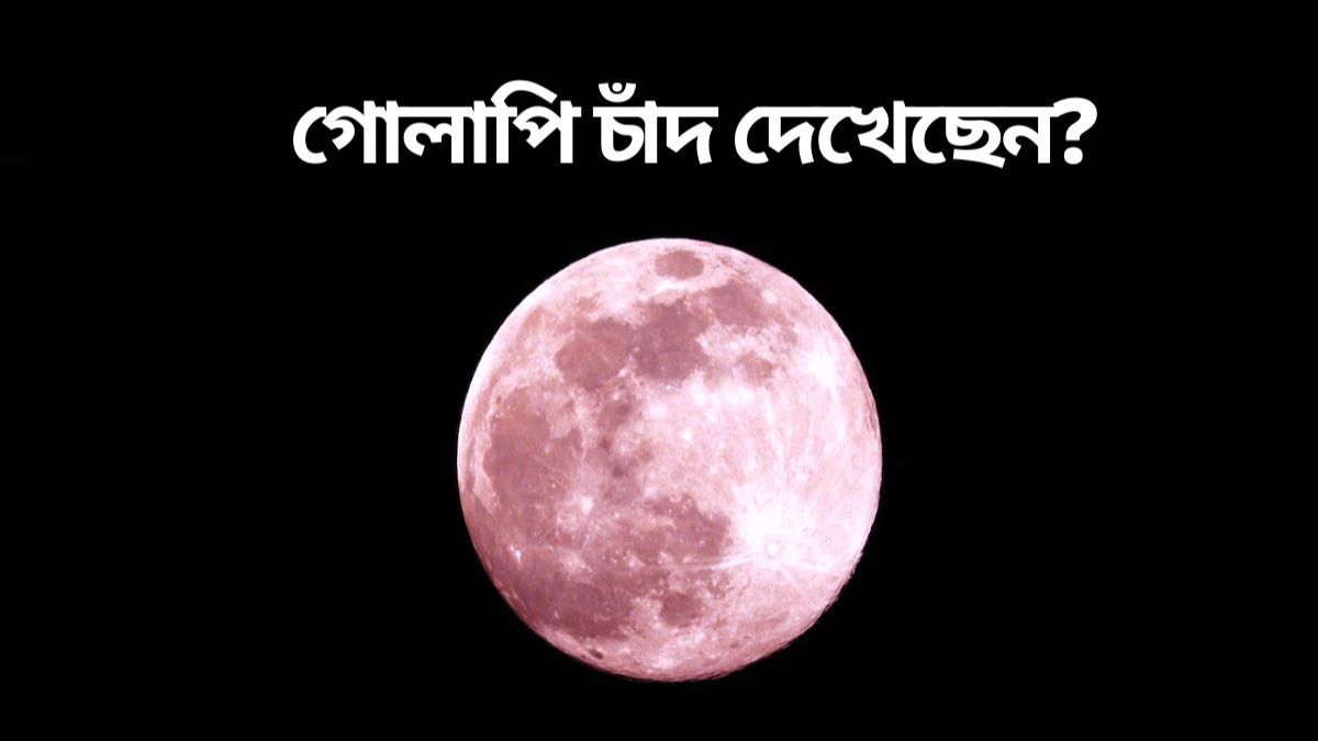 চাঁদের রং এখন গোলাপী, দেখেছেন? মুগ্ধ বিশ্ব, এরকম কত দিন দেখা যাবে?