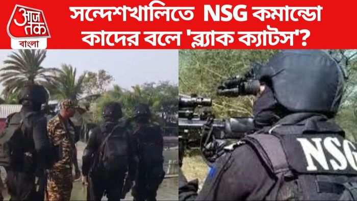 কাদের বলে 'ব্ল্যাক ক্যাটস'?