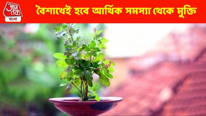 আর্থিক সঙ্কট থেকে মুক্তি দেবে, বৈশাখের এই দিনে তুলসীর পুজো করুন