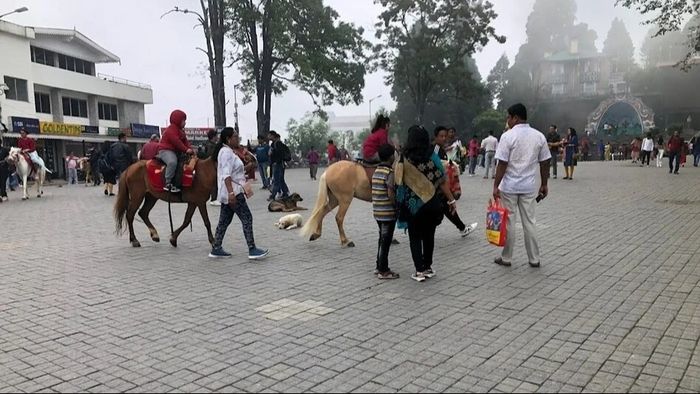 দার্জিলিং পাহাড়ে প্রচুর পর্যটক, সুযোগ বুঝে বাড়ছে গাড়িভাড়াও