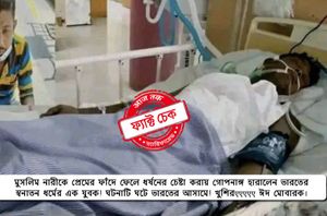 social media users social media users