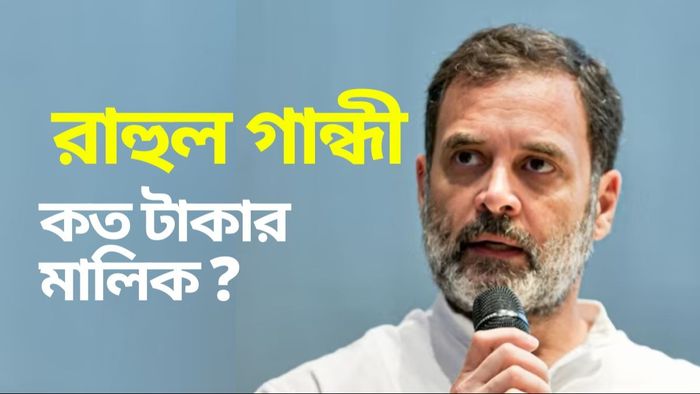 মোট কত টাকার মালিক রাহুল গান্ধী?