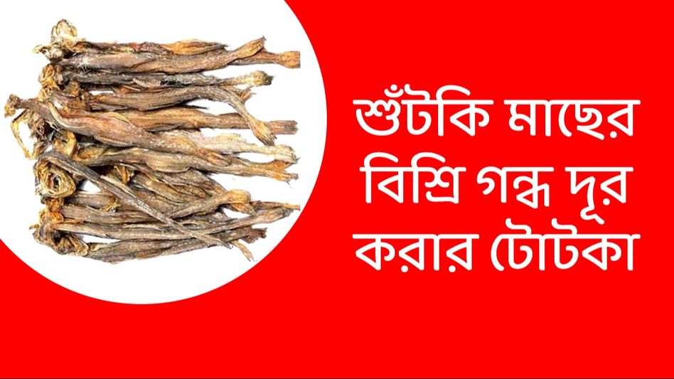 শুঁটকি মাছের বীভৎস গন্ধ দূর করবেন কীভাবে? জানুন ঘরোয়া টোটকা  শুঁটকি মাছের বীভৎস গন্ধ দূর করবেন কীভাবে? জানুন ঘরোয়া টোটকা