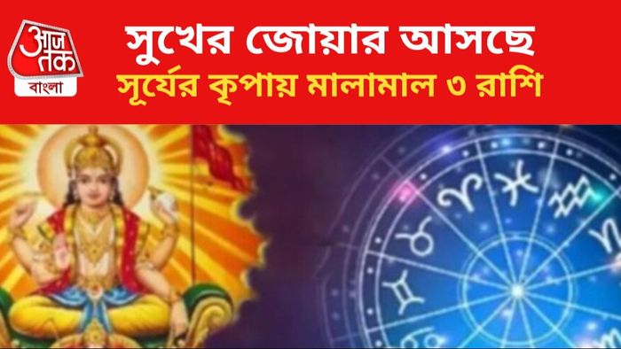 সূর্যের কৃপায় কপাল খুলবে ৩ রাশির।