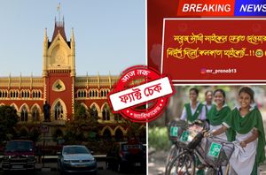 Instagram Users Instagram Users