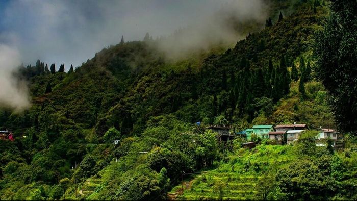 পারদ পতন অব্যাহত, হিমেল হাওয়ায় জবুথবু উত্তরবঙ্গ