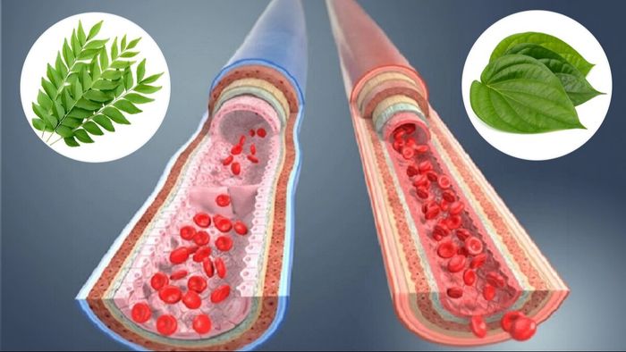 প্রতীকী ছবি