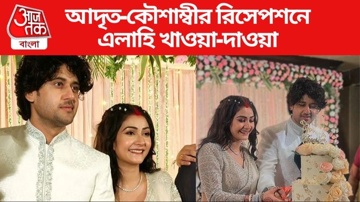 আদৃত-কৌশাম্বীর রিসেপশন লুকস ছবি সৌজন্যে: ইনস্টাগ্রাম