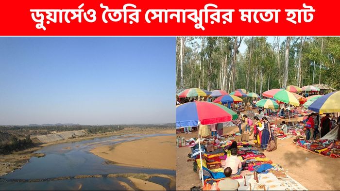 এবার ডুয়ার্সের জঙ্গলেও সোনাঝুরির মতো হাট, সম্ভবত পুজোর আগেই, কোথায়?