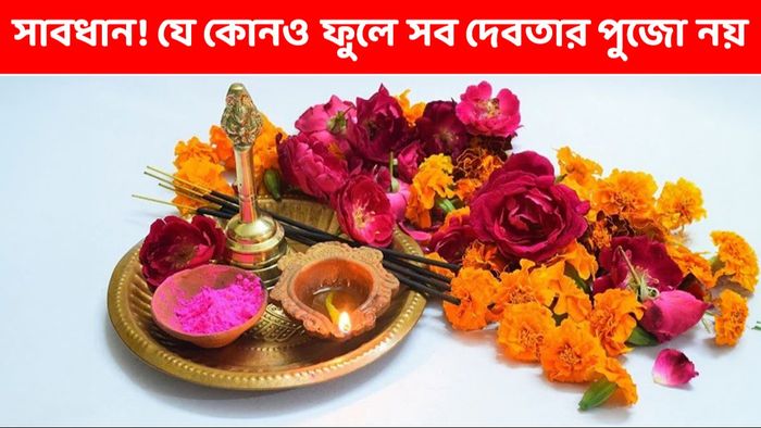 সব দেবতাকে একই ফুল দিয়ে পুজো দিচ্ছেন? পুণ্যর বদলে পণ্ড হতে পারে সব নিবেদন