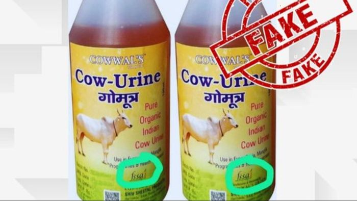Cow Urine