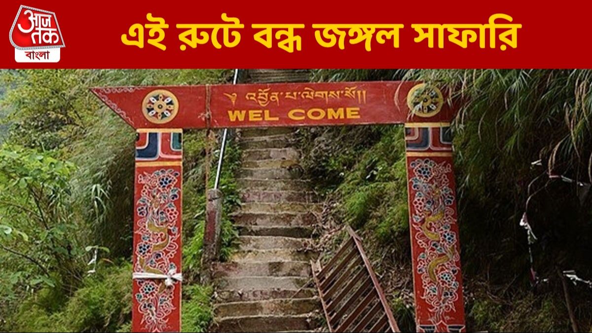 পর্যটন মরশুমে ডুয়ার্সের পপুলার এই রুটে জঙ্গল সাফারি বন্ধ করে দিল বনদফতর, কেন?