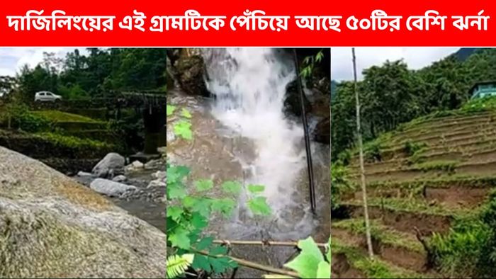 সাপের মতো পেঁচিয়ে ৫০টির বেশি ঝর্না, গরমে আরাম দিতে পারে দার্জিলিংয়ের সাকিয়ং