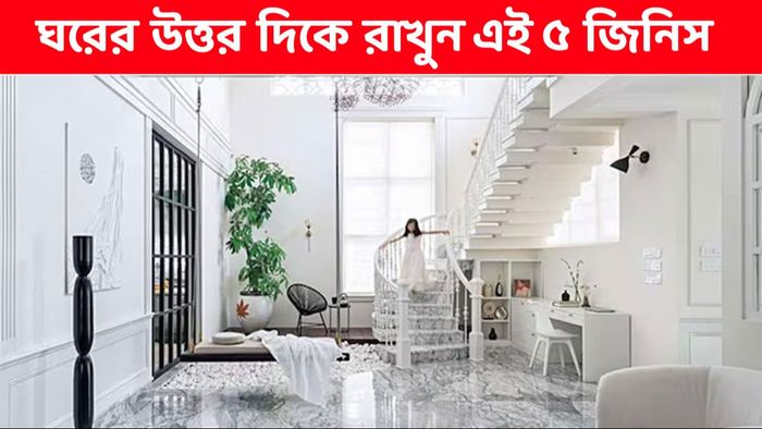 বাড়িতে লাগাতার অর্থের যোগান চাইলে ঘরের উত্তর দিকে রাখুন এই ৫ জিনিস