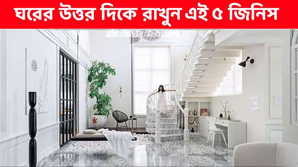 বাড়িতে লাগাতার অর্থের যোগান চাইলে ঘরের উত্তর দিকে রাখুন এই ৫ জিনিস বাড়িতে লাগাতার অর্থের যোগান চাইলে ঘরের উত্তর দিকে রাখুন এই ৫ জিনিস