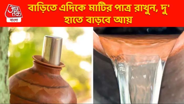 ঘরের এদিকে রাখুন মাটির পাত্র, মালামাল হয়ে যান; হবে ঋণমুক্তিও