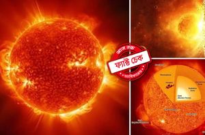 Social Media Users Social Media Users