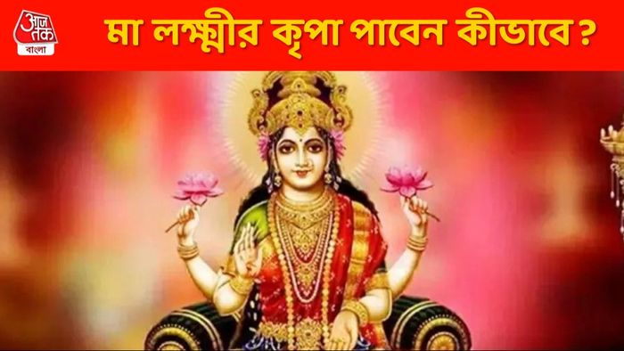 মাইনে বাড়বে চড়চড়িয়ে, মিটবে দেনা; লক্ষ্মীর আশীর্বাদ পেতে এই কাজ করুন