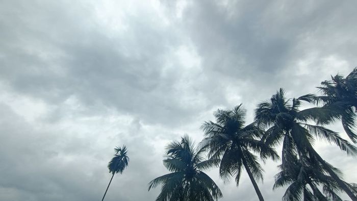 Rain